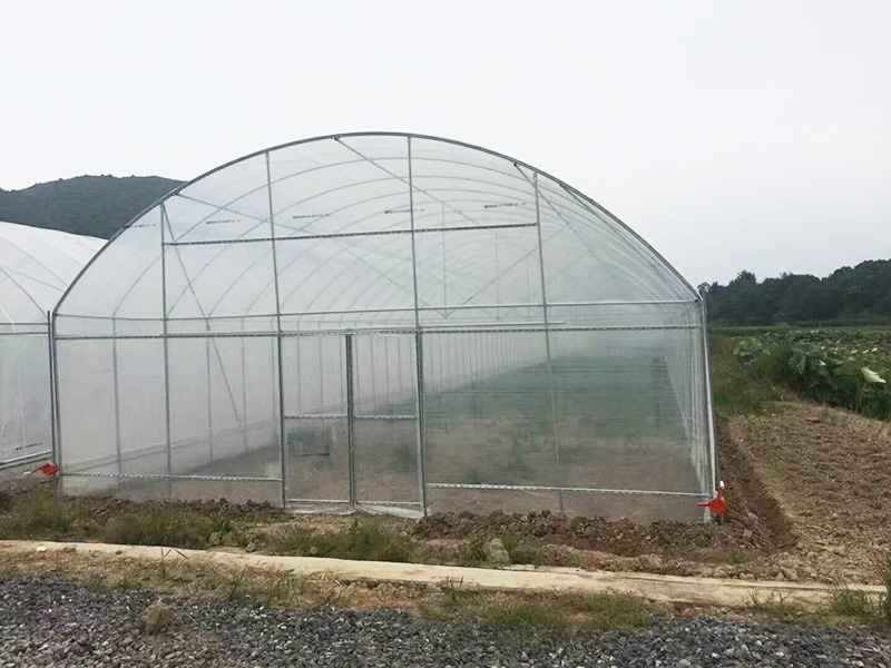 韶关市薄膜大棚蔬菜大棚 - 推荐